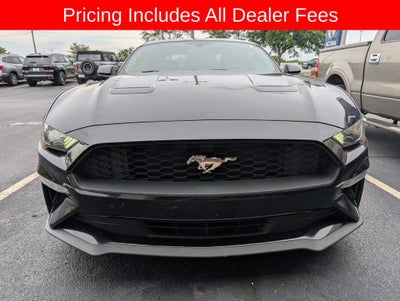 2019 Ford Mustang EcoBoost