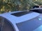 2026 Honda Civic Si Manual
