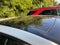 2015 Volkswagen Golf Base