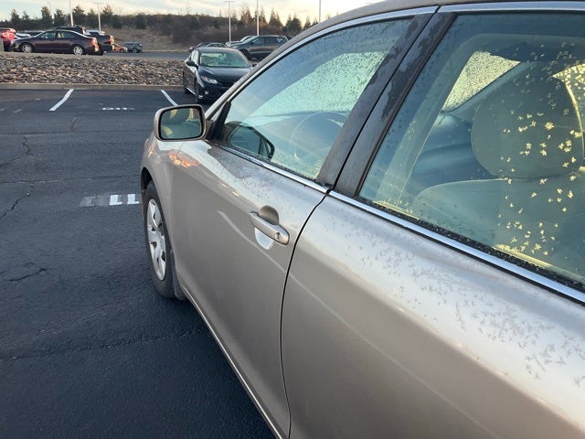 2009 Toyota Camry 4dr Sdn I4 Auto (Natl)