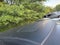 2011 Honda Odyssey Touring