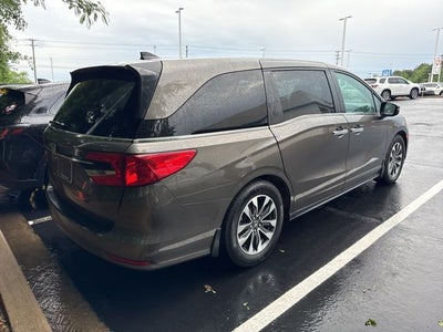 2023 Honda Odyssey EX-L