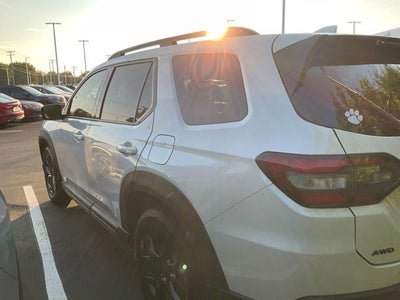 2025 Honda Pilot Black Edition