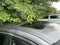 2020 INFINITI QX60 PURE