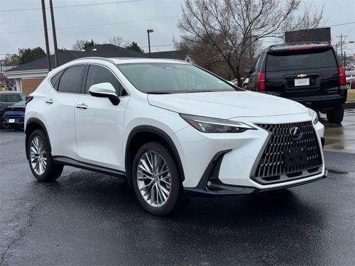 2025 Lexus NX 350h Premium