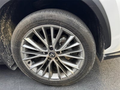 2025 Lexus NX 350h Premium