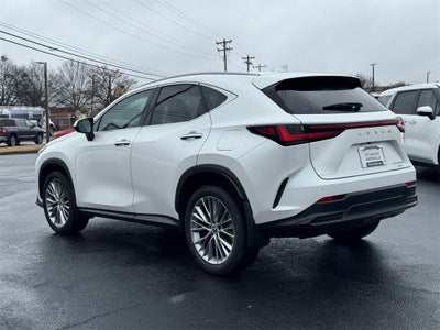 2025 Lexus NX 350h Premium