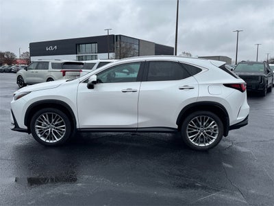 2025 Lexus NX 350h Premium
